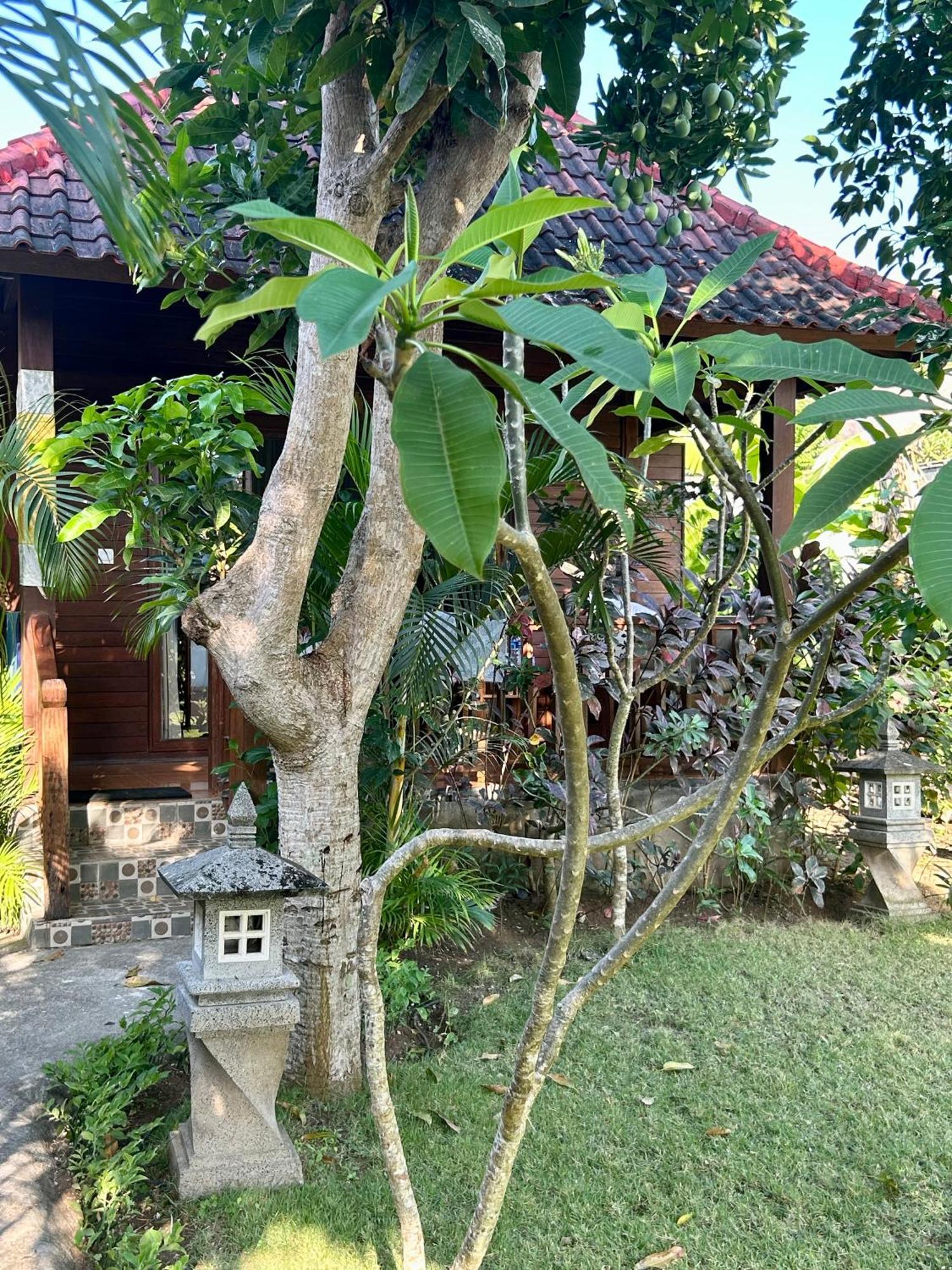 レンボンガン島 ザ シーマン ガーデン ハッツ Bed & Breakfast エクステリア 写真
