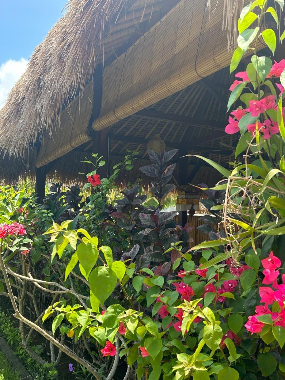 レンボンガン島 ザ シーマン ガーデン ハッツ Bed & Breakfast エクステリア 写真